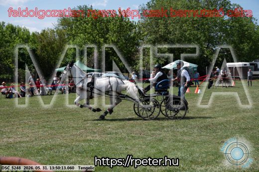 Mintakép 20260531-1177