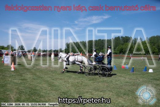 Mintakép 20260531-1189