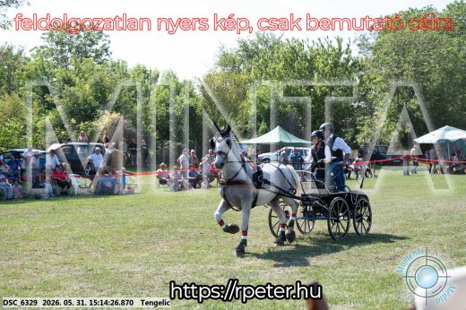 Mintakép 20260531-1190