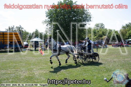 Mintakép 20260531-1193