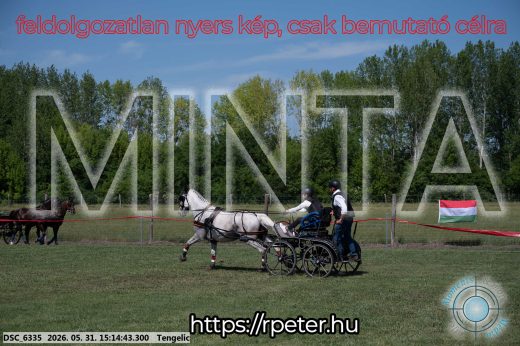 Mintakép 20260531-1194