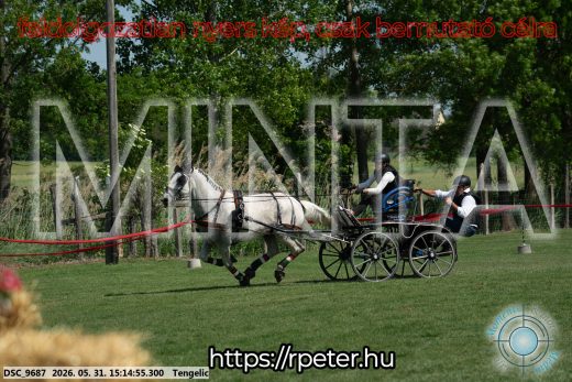 Mintakép 20260531-1195