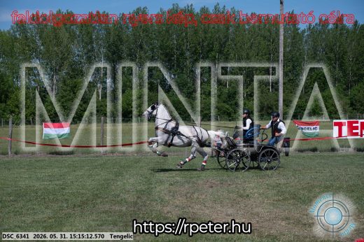 Mintakép 20260531-1196