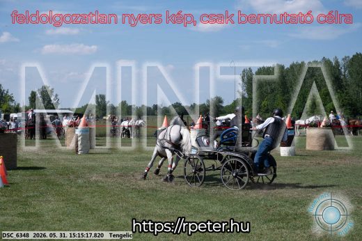 Mintakép 20260531-1198