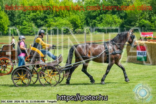 20260531-113308-DSC_8268.jpg