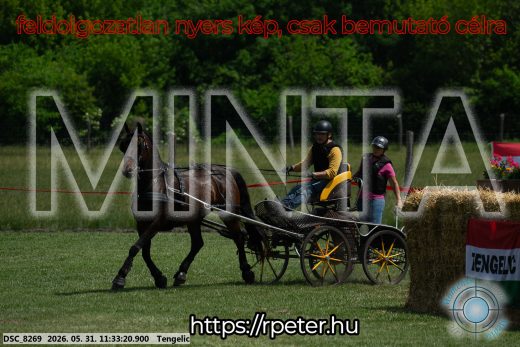 Mintakép 20260531-1205
