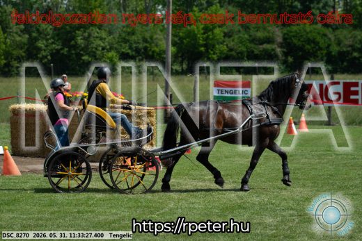 Mintakép 20260531-1206