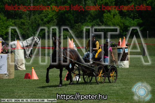 Mintakép 20260531-1207