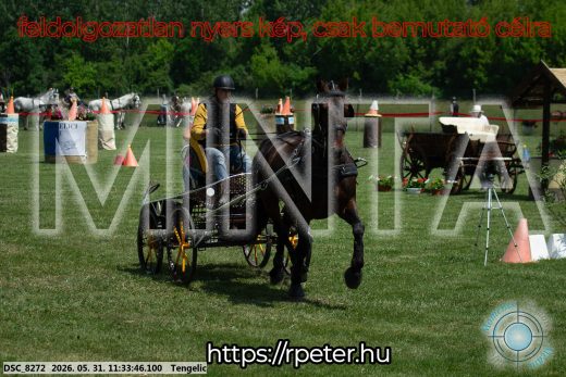 Mintakép 20260531-1208