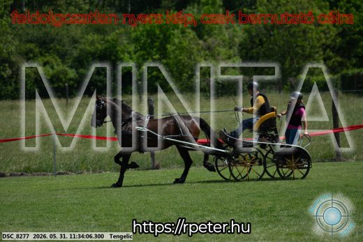 Mintakép 20260531-1212