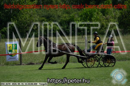Mintakép 20260531-1213