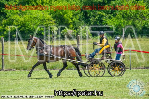 Mintakép 20260531-1214