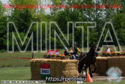 Mintakép 20260531-1216