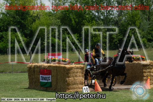 Mintakép 20260531-1218