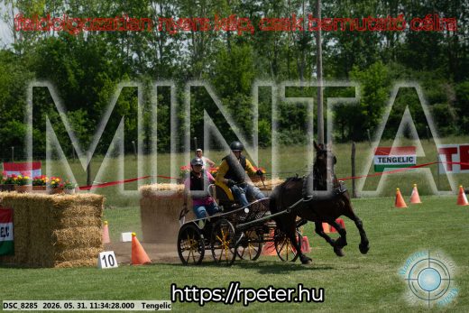 Mintakép 20260531-1219