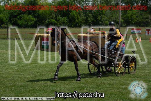 Mintakép 20260531-1221