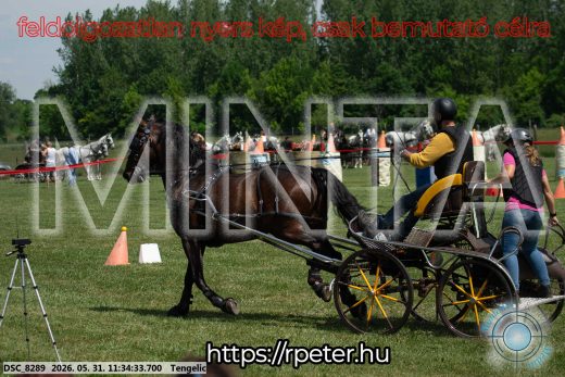 Mintakép 20260531-1223