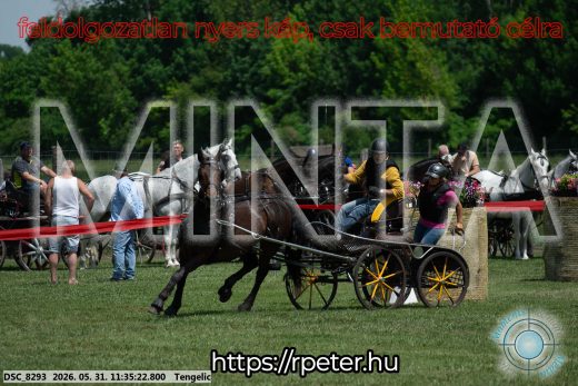 Mintakép 20260531-1225