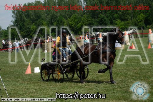 Mintakép 20260531-1228