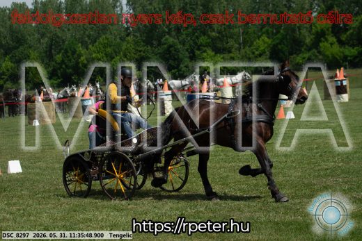 Mintakép 20260531-1229