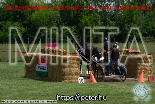 Mintakép 20260531-1232