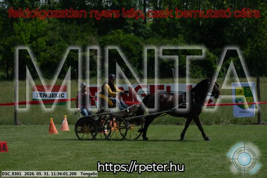 Mintakép 20260531-1233