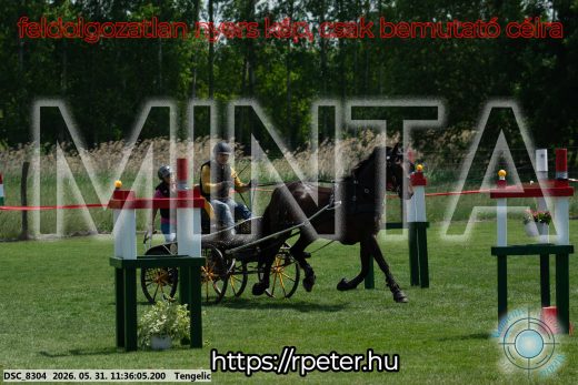 Mintakép 20260531-1236