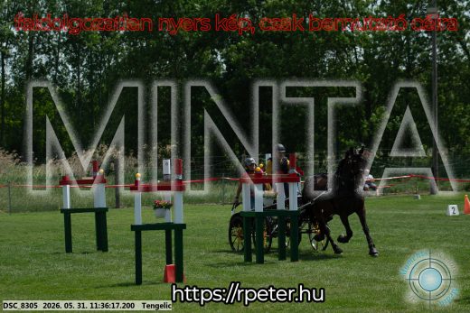 Mintakép 20260531-1237