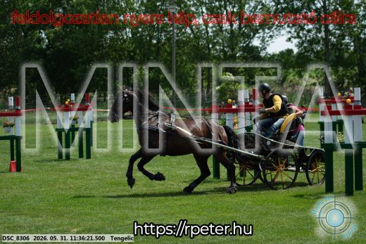 Mintakép 20260531-1238