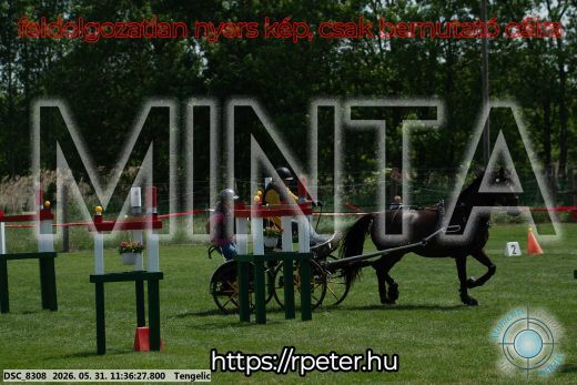 Mintakép 20260531-1240