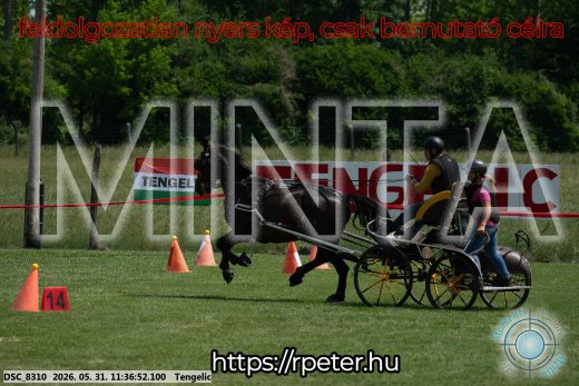 Mintakép 20260531-1241