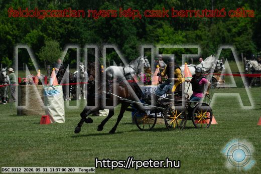 Mintakép 20260531-1242