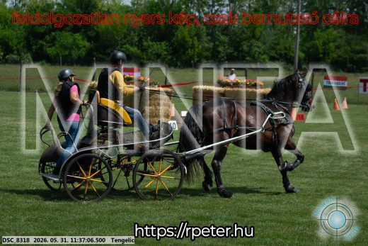 Mintakép 20260531-1247
