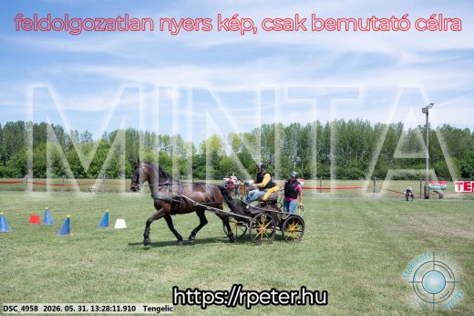 Mintakép 20260531-1250