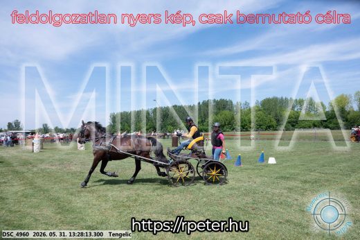 Mintakép 20260531-1252
