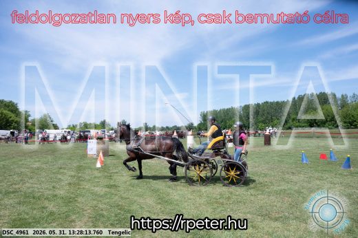 Mintakép 20260531-1253