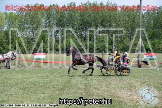 Mintakép 20260531-1261