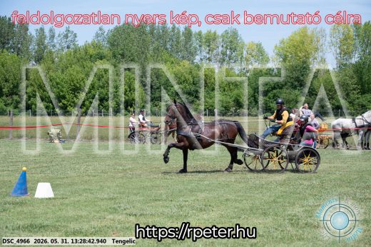 Mintakép 20260531-1262