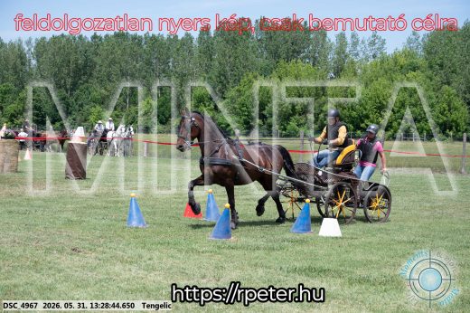 Mintakép 20260531-1263