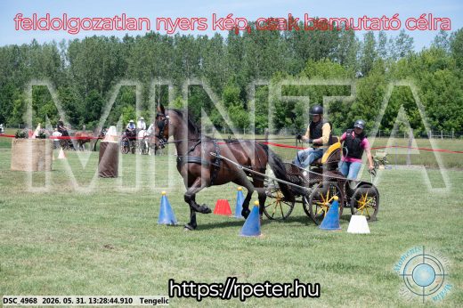 Mintakép 20260531-1264