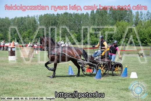 Mintakép 20260531-1265