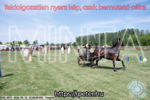 Mintakép 20260531-1267