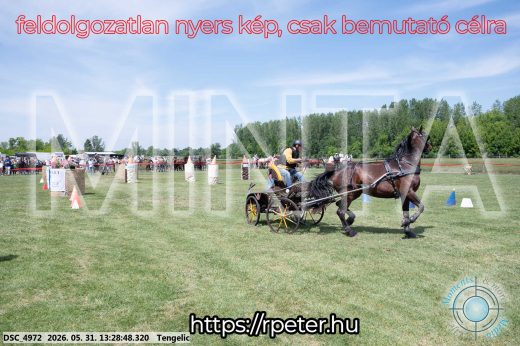 Mintakép 20260531-1268