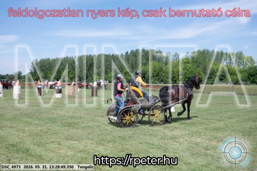 Mintakép 20260531-1269