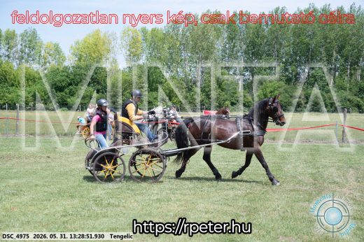 Mintakép 20260531-1271