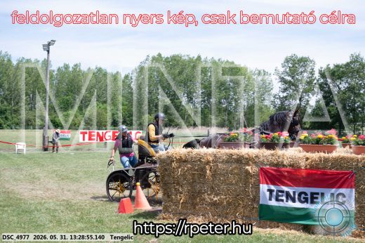 Mintakép 20260531-1272