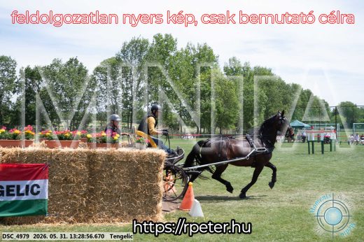 Mintakép 20260531-1274