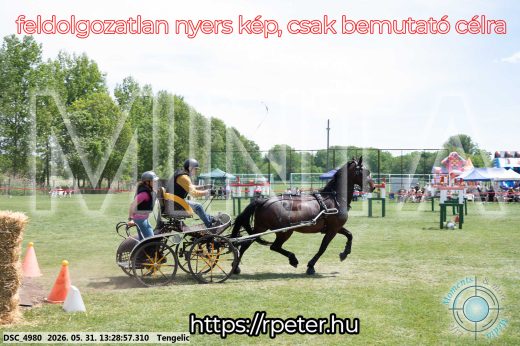 Mintakép 20260531-1275