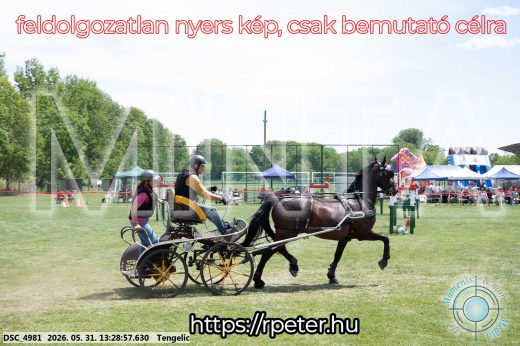 Mintakép 20260531-1276