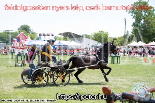 Mintakép 20260531-1277